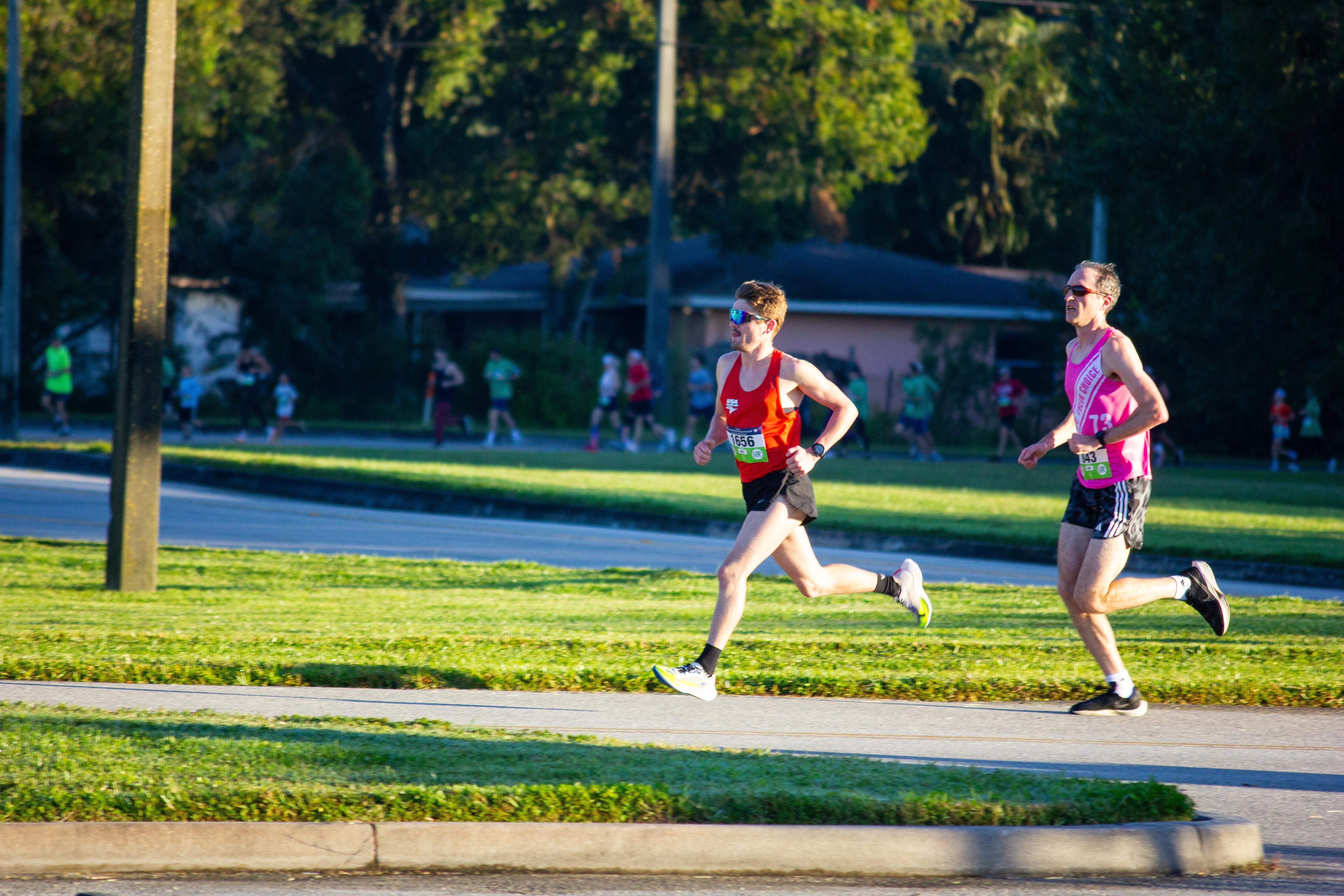 Trot 2024